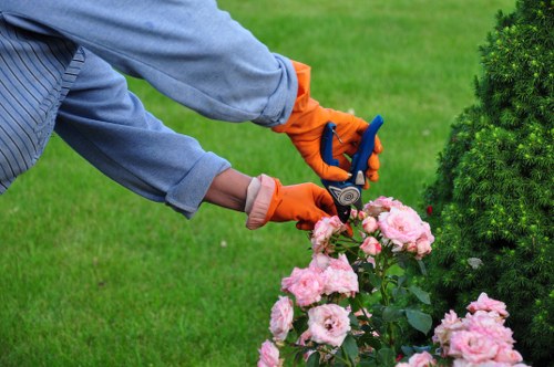 Team member speaking with a customer to arrange an accessible appointment for hedge trimming
